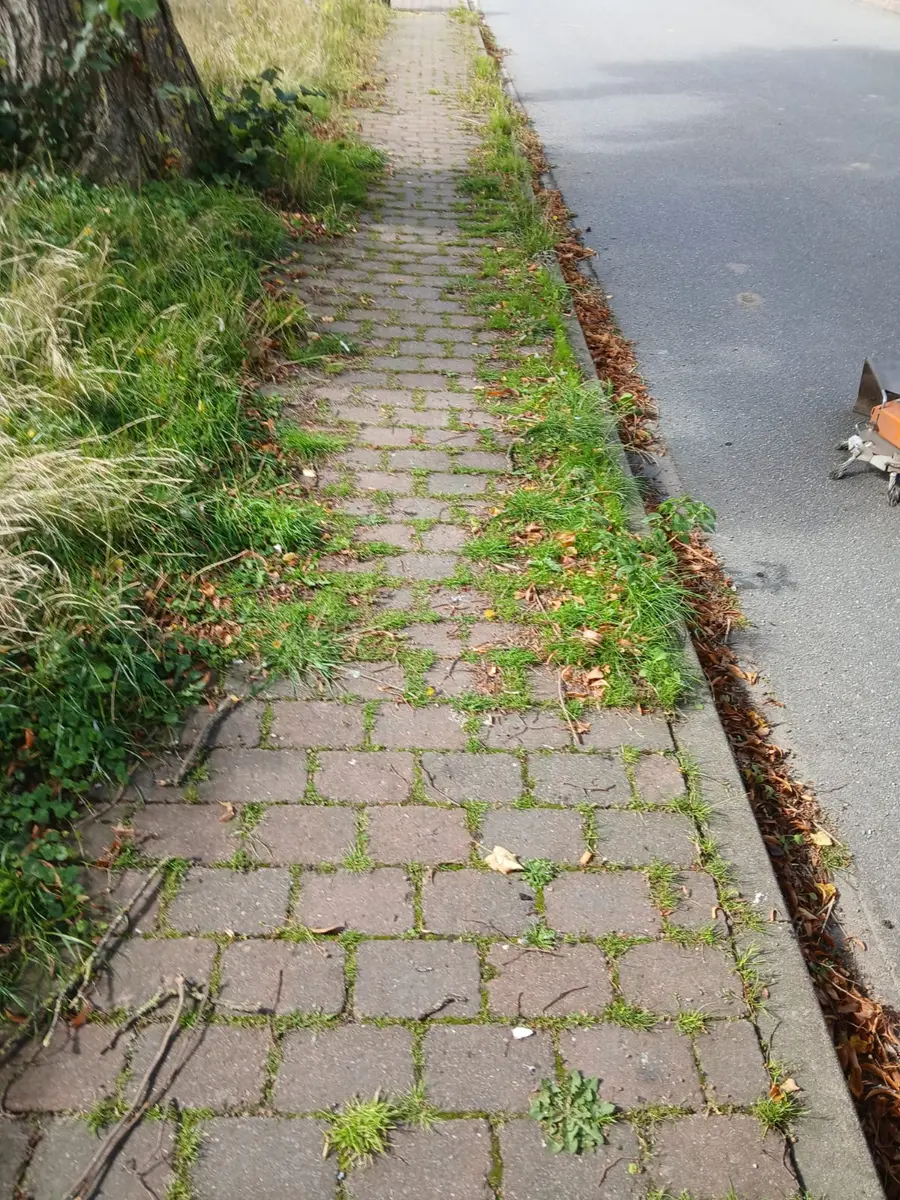 Gehweg mit Gras und Unkraut in den Pflasterfugen vor der Wegepflege